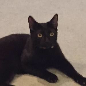 Meet your Posher, Jodi